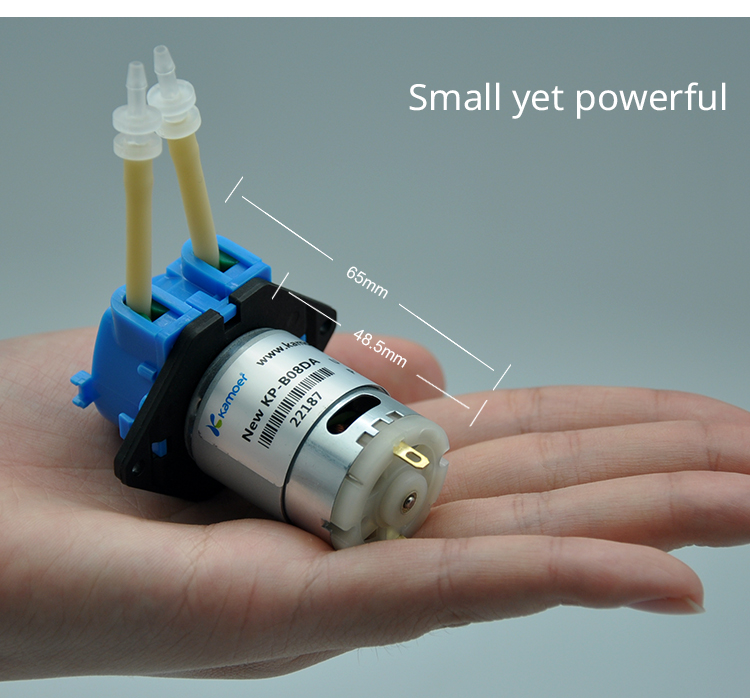 Nutrition & Fitness Class - 2026年新型NKP 6V 12V 24V DCモーター カラーミニペリスタルティック定量ポンプ