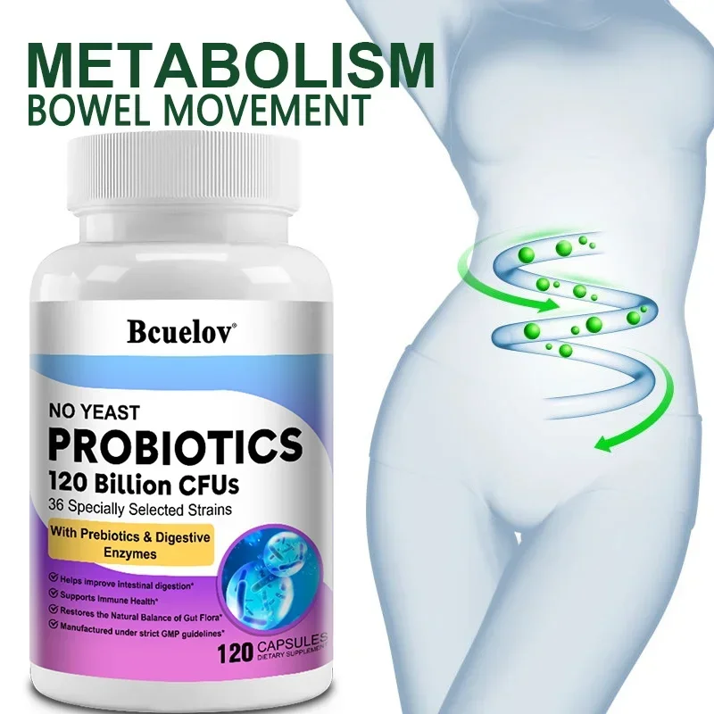 Probiotic 60 Billion - 消化器の健康プロバイオティクス 1 兆 20 億 CFU