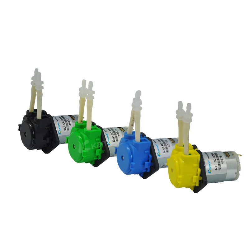 2026年新型NKP 6V 12V 24V DCモーター カ - Nutrition & Fitness Class のレビューと価格