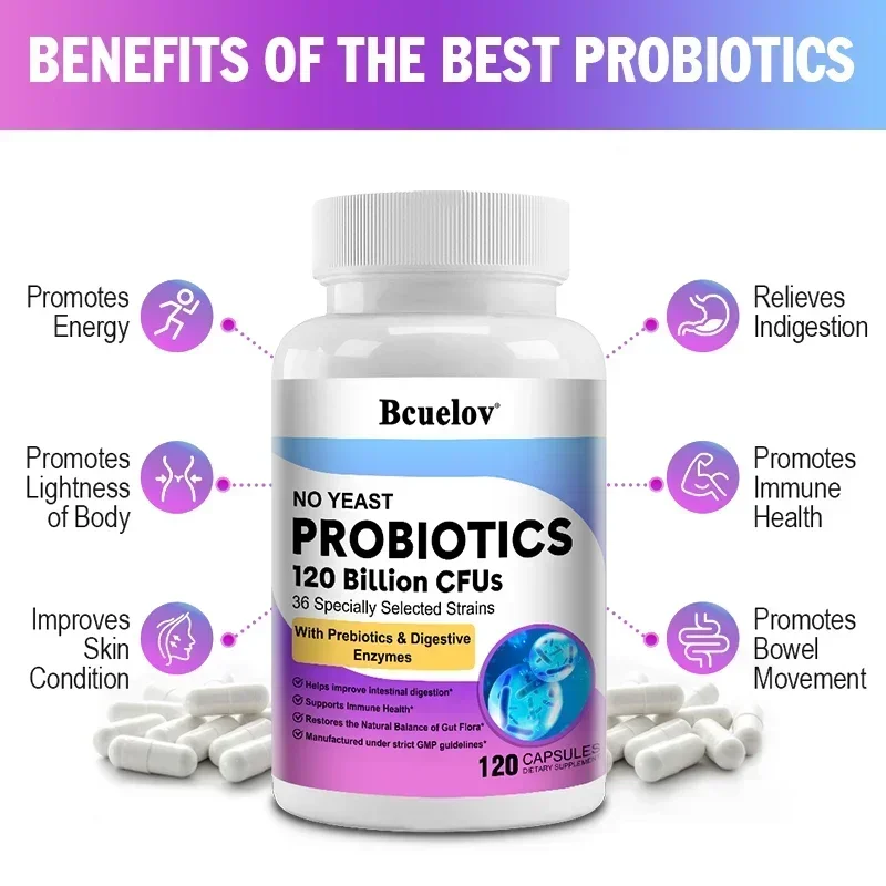 消化器の健康プロバイオティクス 1 兆 20 億 CFU プ - Probiotic 60 Billion のレビューと価格